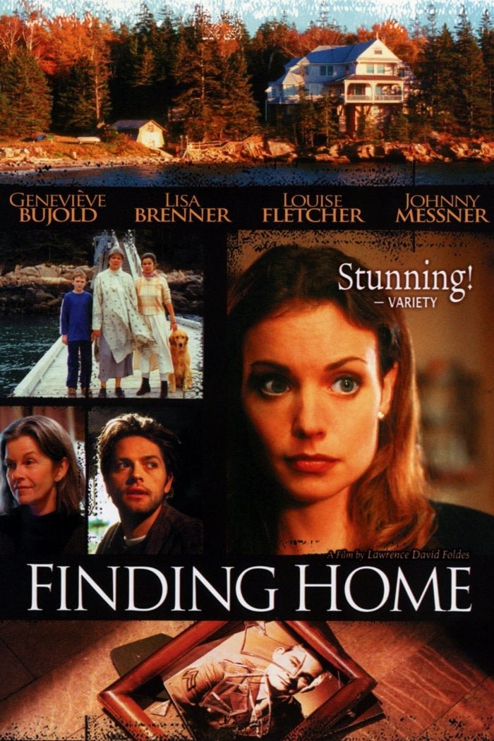 Постер Finding Home